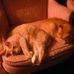 Chuck Craven - Facebook