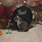 Chuck Craven - @craven_chuck - Instagram