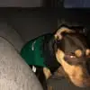 Chuck Cunningham - @chuck.cunningham08 - TikTok