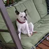 Charlie - @chuck.day - TikTok