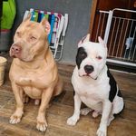 @chuck.dayron - Instagram