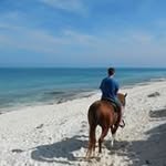 Chuck DeLuca - @chuckyd29 - Instagram