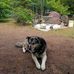 Chuck Dickens - Facebook
