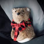Charles “Chuck” Dickson - @chucks_adventure - Instagram