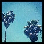 chuckie diggs - @25jumperrek - Instagram