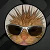 Chuck Dion - @hamedion - TikTok