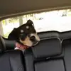 chuckdonahue620 - @chuckdonahue620 - TikTok