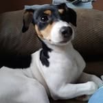 Chuck Doyle - @chuck.doyle.923 - Instagram