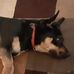 Chuck Edward - Facebook