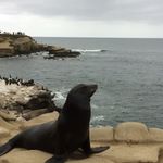 Chuck Fox - @chuckerfox101 - Instagram