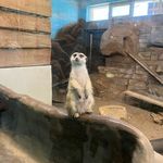 Chuck Francis - @chuckfrancis40 - Instagram