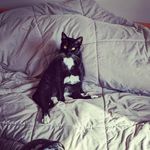 Chuck francis - @cfrancisjr - Instagram