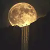Chuck Franklin - @chuck.franklin02 - TikTok