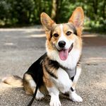 Franklin Chuck Prince - @franklin.chuck.prince - Instagram