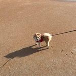 Chuck Frederick - @charles.frederick.338 - Instagram