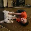 Andrew - @chuck_and_carly_fries_62 - TikTok