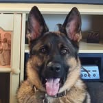 Chuck Garrison - @cegarrison - Instagram