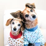 Chuck & Gideon - @two.longfellows - Instagram