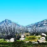 Glenn Chuck - @glennchuck - Instagram