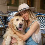 Chuck Golden Retriever - @chuck_goldenretriever - Instagram