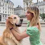 chuck_golden_retriver_fan - @chuck_goldenretriver_fan - Instagram