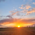 Chuck Greene - @chuck.greene.169 - Instagram