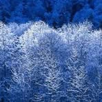 Chuck Grube - Facebook
