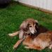 Chuck Hanson - Facebook