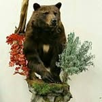 chuck hanson - @hanson.chuck - Instagram