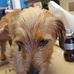 Chuck Hanson - Facebook