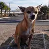 chuckharding6 - @chuckharding6 - TikTok