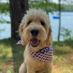 Danvers Chuck Harding - @thedooddanvers - Instagram