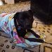 Chuck Harrington - Facebook