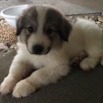 Charles Hensley - @chuckhensley - Instagram