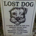 Chuck Hensley - @2waggish - Instagram