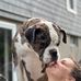 Charlie Herrick - Facebook
