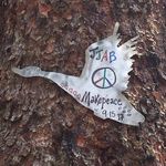 Chuck Hickey - @chuckhickey58 - Instagram