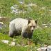 Chuck Hilliard Photography - Facebook