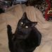 Chuck Holcomb - Facebook