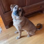 Chuck Holcombe - @chuckholcombe - Instagram