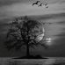 Chuck Holt - Facebook