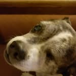 Chuck Howell - @chuck.howell.9400 - Instagram