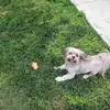 Chuck. Jean Boudreau - @chuck..jean.boudr - TikTok