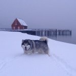 Chuck Kennedy - @chuck_w_kennedy - Instagram