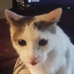 Chuck Kerns - @chuck.kerns.948 - Instagram