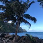 Chuck Knight - @chuck___knight - Instagram