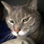 Chuck Knight - @cwknight25 - Instagram