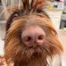 Chuck Koch - Facebook