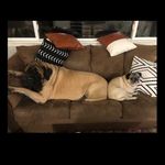 Ducky and Chuck Larsen - @ducky_and_chuck - Instagram