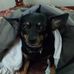 Chuck Lawson - Facebook